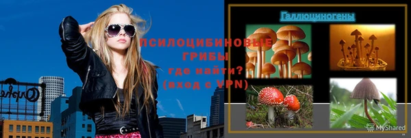 мяу мяу мука Михайловск