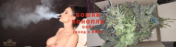 мяу мяу мука Михайловск
