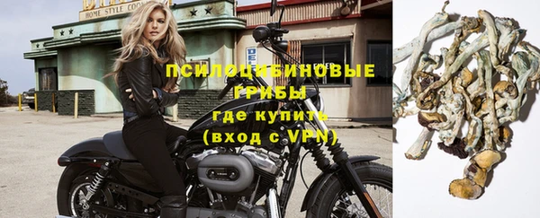 мяу мяу мука Михайловск