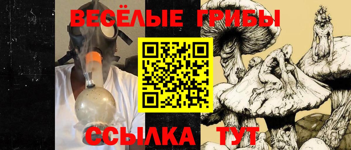 купить наркоту  Галлюциногенные грибы Magic Shrooms  Вход с VPN  Псков 